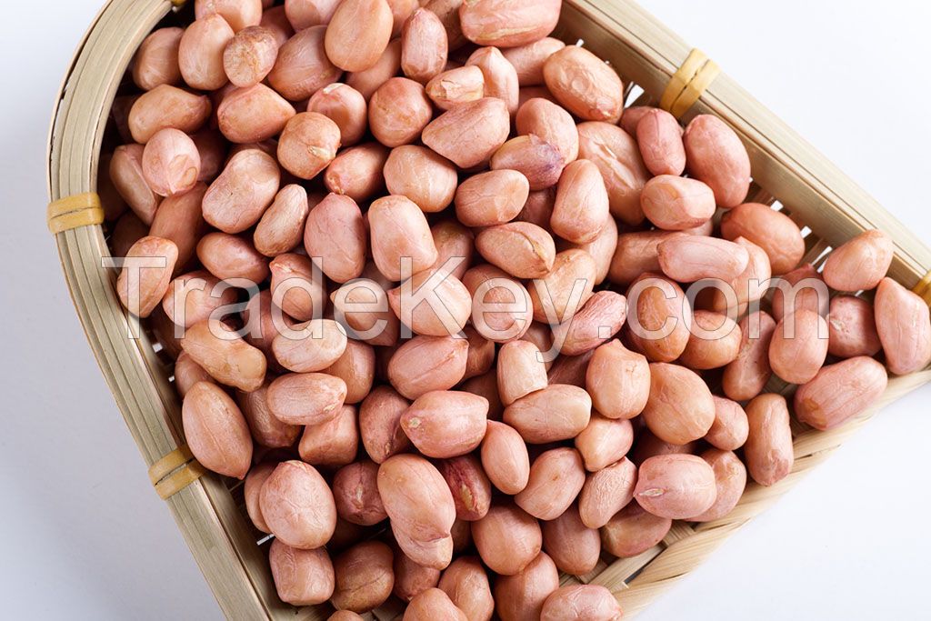 peanuts in shell, peanut kernels, blanched peanut, roasted peanuts, apple rings, pumpkin seeds ect