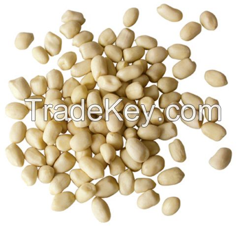 export peanuts in shell, blanched peanuts
