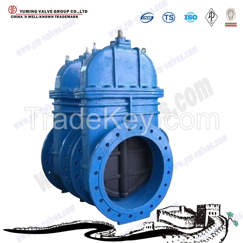 DIN standard GGG50 gate valve Resilient Seated Ductile Iron Gate Valve dn100