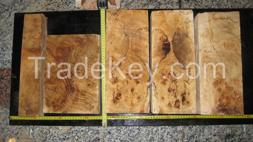 Poplar burl Lumber wood Pappel Maser Holz