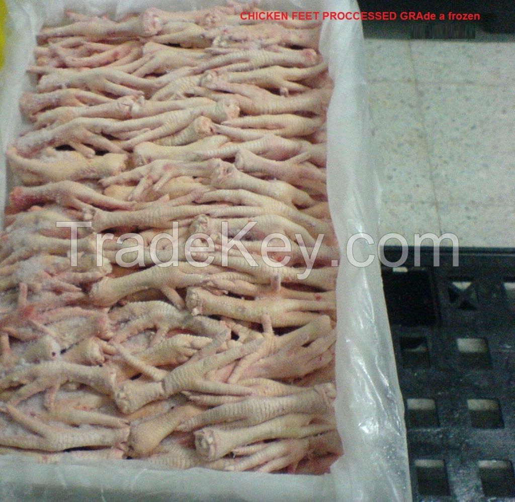 HALLAL FROZEN CHICKEN FEET AND PAW GRADE A 