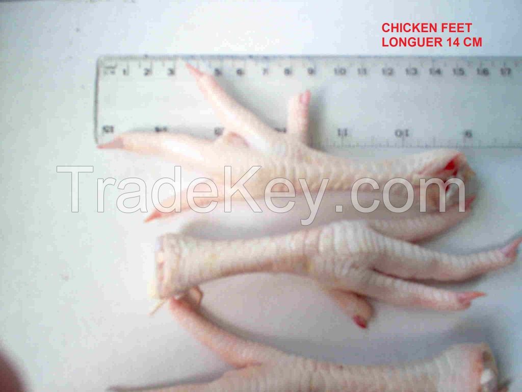 HALLAL FROZEN CHICKEN FEET AND PAW GRADE A 