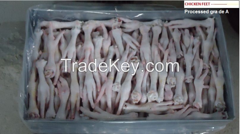 HALLAL FROZEN CHICKEN FEET AND PAW GRADE A 