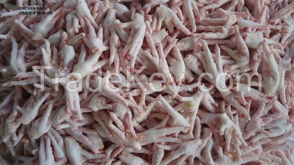 Chicken feet/paws /mid wings / Gizzards / Thighs / Drumette 