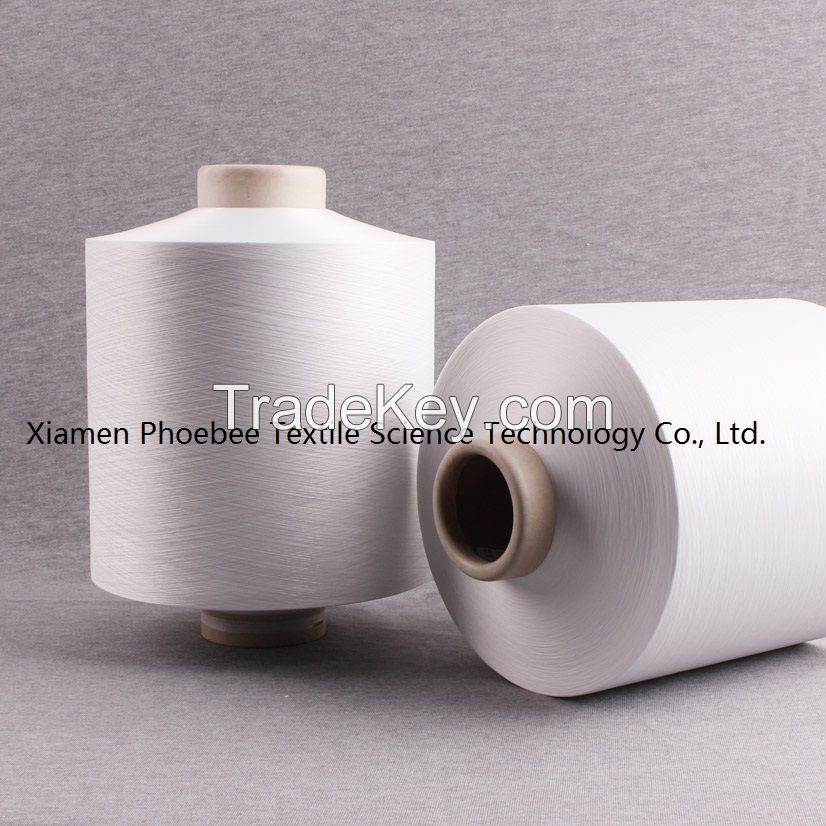 High Tenacity Nylon Filament Yarn for Hand Knitting, Weaving