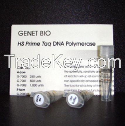 HS Prime Taq DNA Polymerase (hot start version)