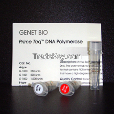 Prime Taq DNA Polymerase.