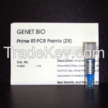 Prime RT-PCR Premix (2X)