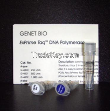 ExPrime Taq DNA Polymerase