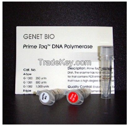 Prime Taq DNA Polymerase