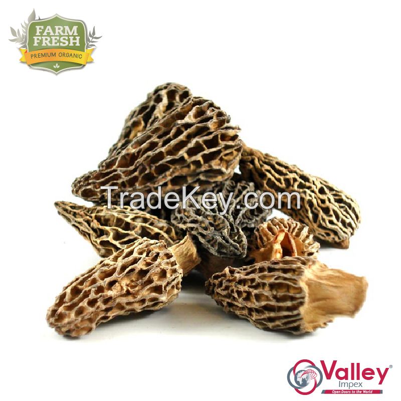 Dried Morel Mushroom Organic Kanguch Permium Grade