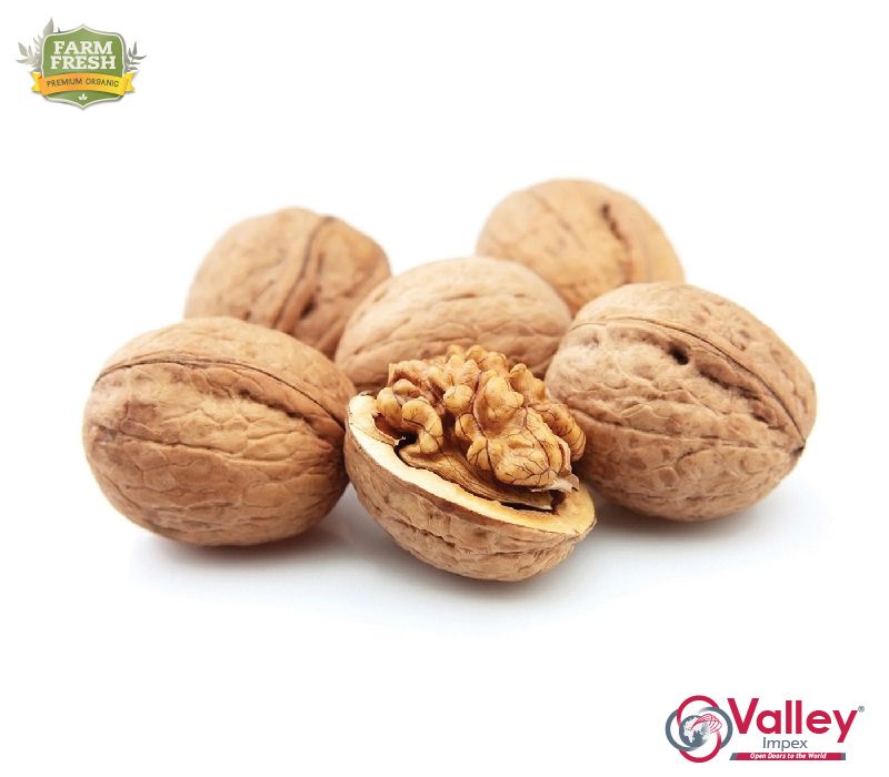 Walnut Kernals Organic Kashmiri Akhrot Giri Premium Grade