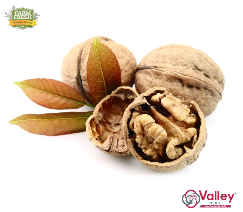 Walnut Kernals Organic Kashmiri Akhrot Giri Premium Grade