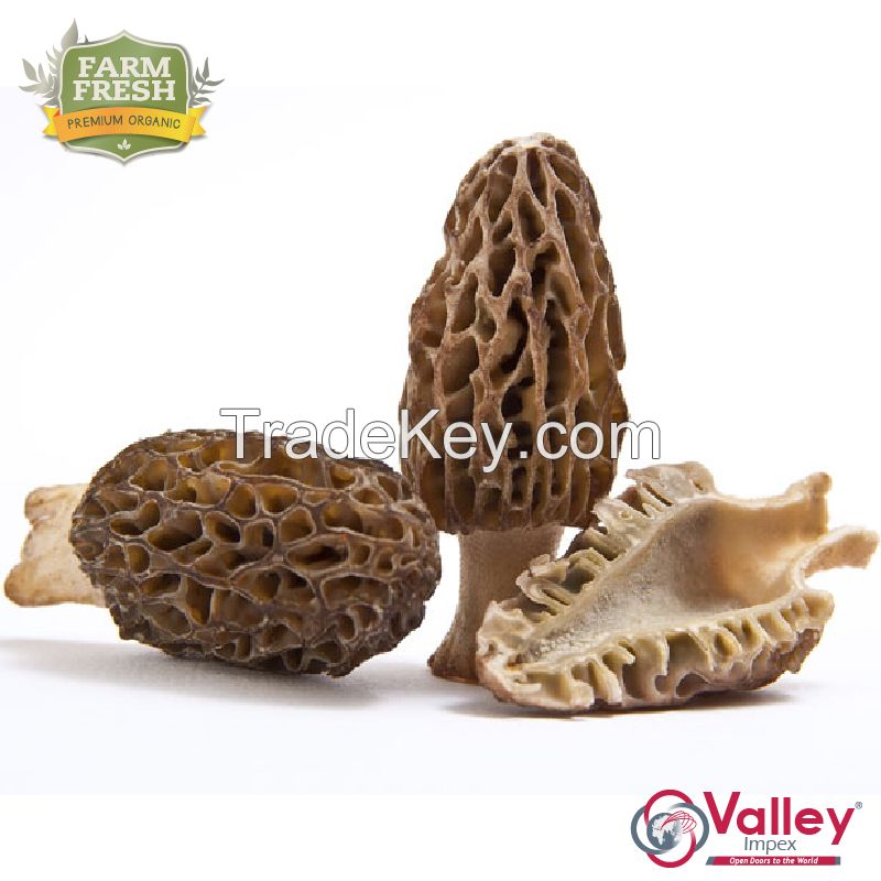 Dried Morel Mushroom Organic Kanguch Permium Grade