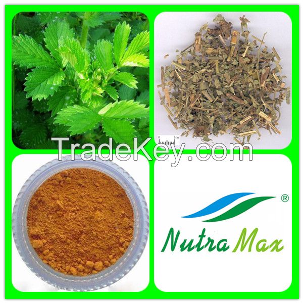 Agrimony Extract