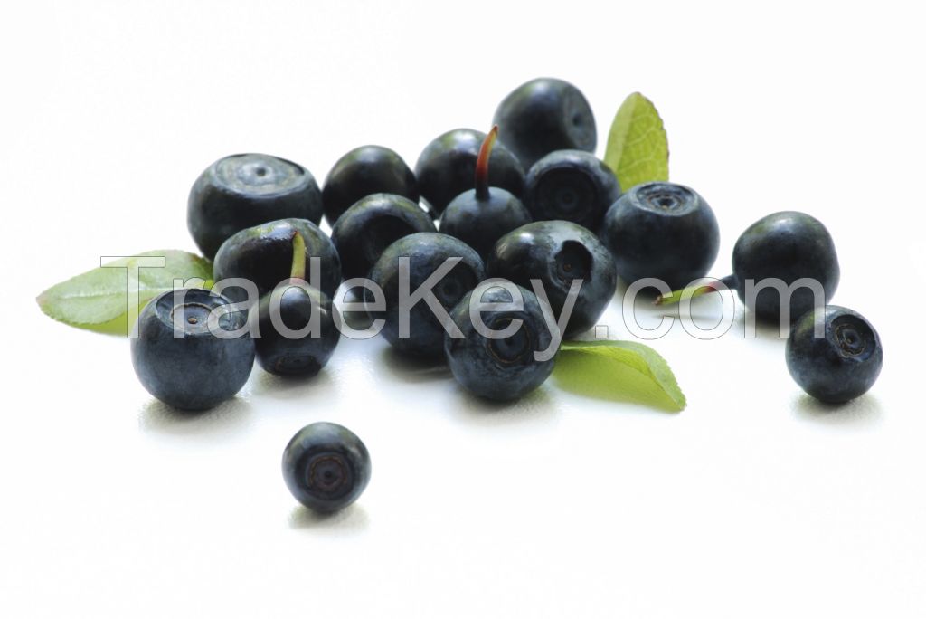 Acai Extract