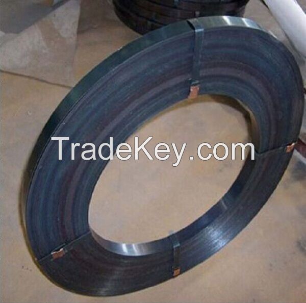 Factory Manufacture Steel Strip Price