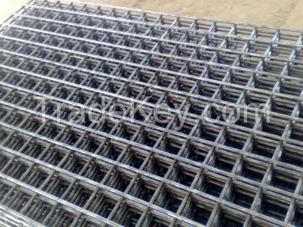 Welded Wire Mesh Popular In Pakistan