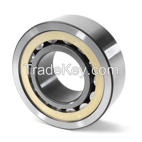 OEM Factory Cheap Price Cylindrical/Full Cylindrical Rolling Bearing Types (NU2210/2211EM/NU2213/2214M/SL183006/2206/2306)