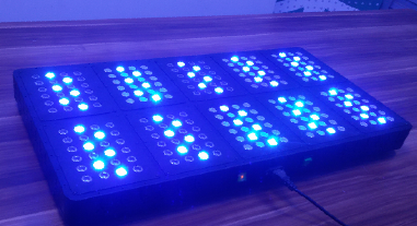 750W LED Grow Light with Remote Control,AC85-265Voltage,for Green House Plant's Growth,Fast Delivery