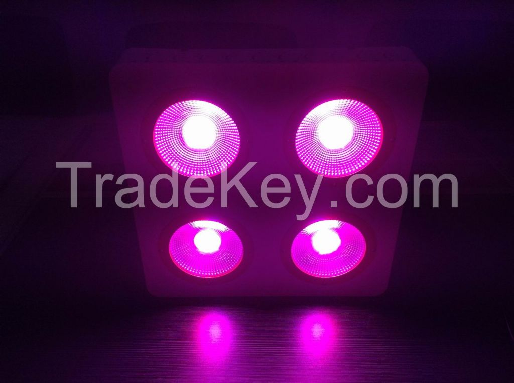 New Arrival Programmable High Luminous Efficacy LED Grow Light, COB/Promotional Price, for Veg/Bloom