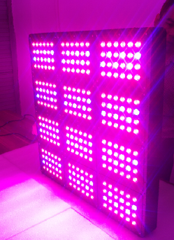 CE/RoHS/FCC Popular Full Spectrum Available LED Grow Lighting, 900W, from Shenzhen, 2015 LED