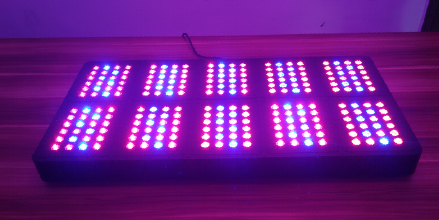 750W LED Grow Light with Remote Control,AC85-265Voltage,for Green House Plant's Growth,Fast Delivery