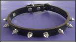 Pet Collar - Leash