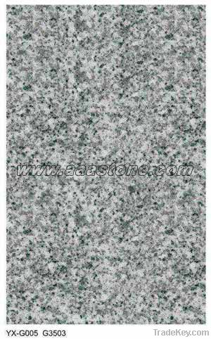 Polished Granite Tiles / Slabs (yx-g005)