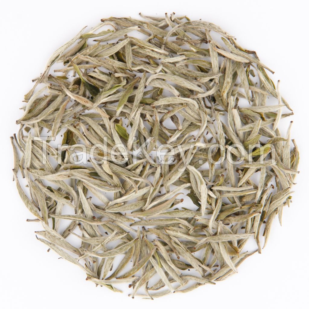 Finch White Tea Silver Needle(Bai Hao Yin Zhen)