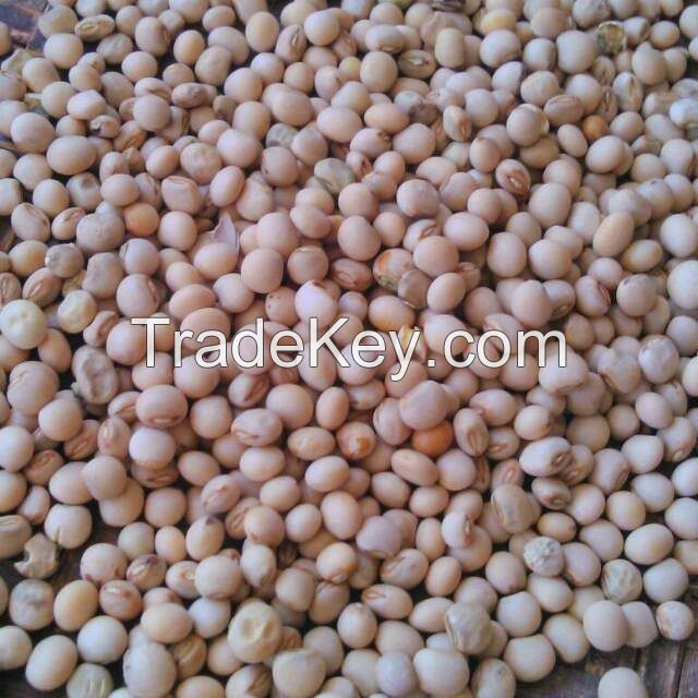 Pigeon peas