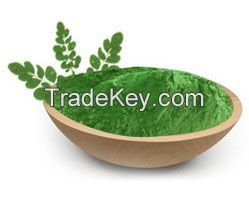 Moringa Dry Leaves and Moringa Leaves Powder Supplier