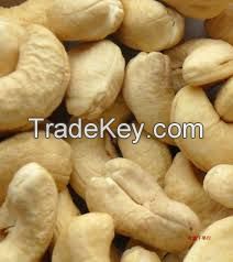 Cashew  Nuts Supplier