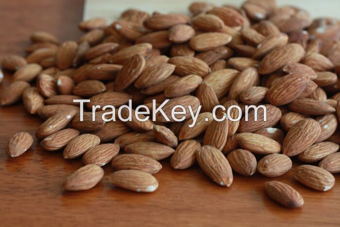 Almond Nuts Exporter