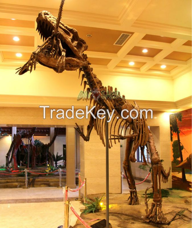 indoor playground equipment dinosaur fossil