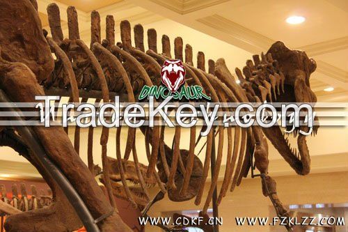 Replica Model of Outdoor Giant Life Size Dinosaur Skeleton