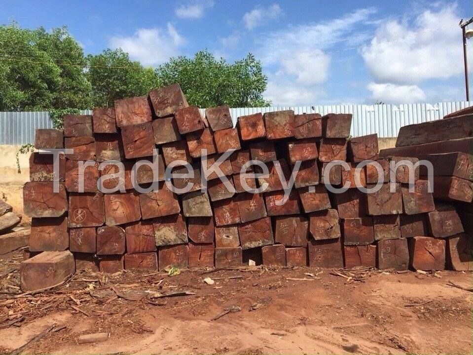 pyinkado logs