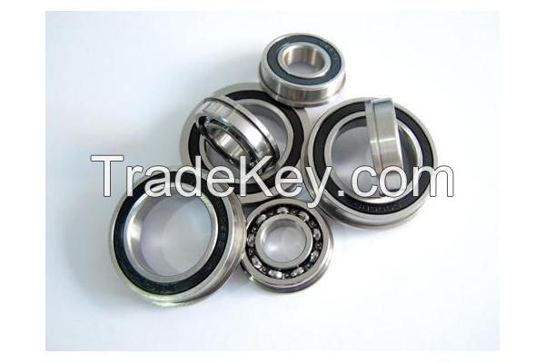 440C,316Stainless steel ball bearings