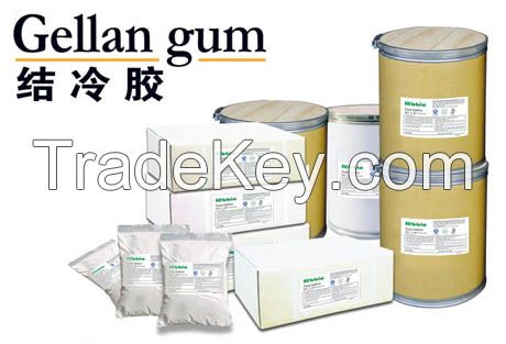 gellan gum