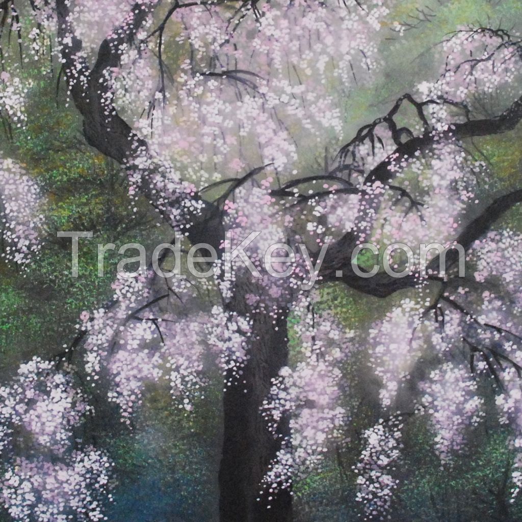 Kakejiku (Japanese hanging scroll) with Cherry Blossoms painting by Kahou Sakakibara