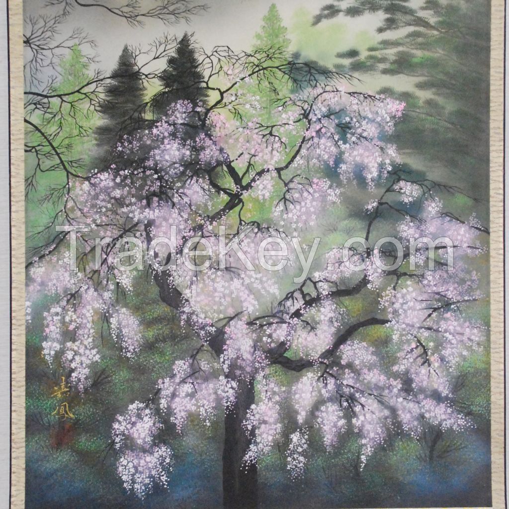 Kakejiku (Japanese hanging scroll) with Cherry Blossoms painting by Kahou Sakakibara