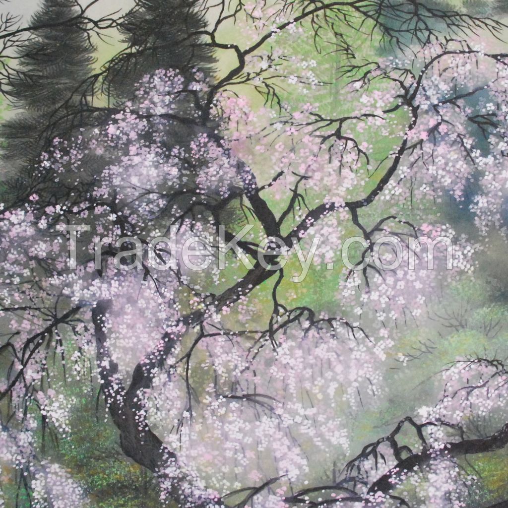 Kakejiku (Japanese hanging scroll) with Cherry Blossoms painting by Kahou Sakakibara