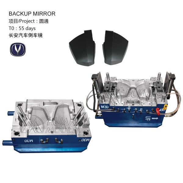 Backup Mirror Mould Plastic mould Injection Mould Auto-parts mold