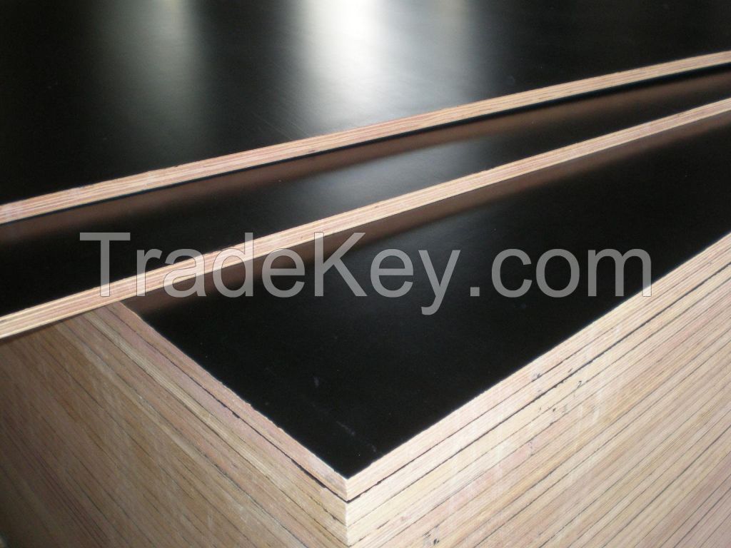 Plywood, Russian Birch Film faced Plywood