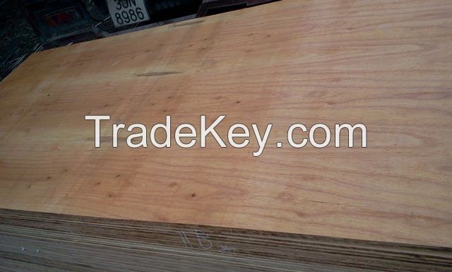 Vietnam High Quality Commercial Plywood