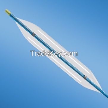 Dilation Balloon Catheter