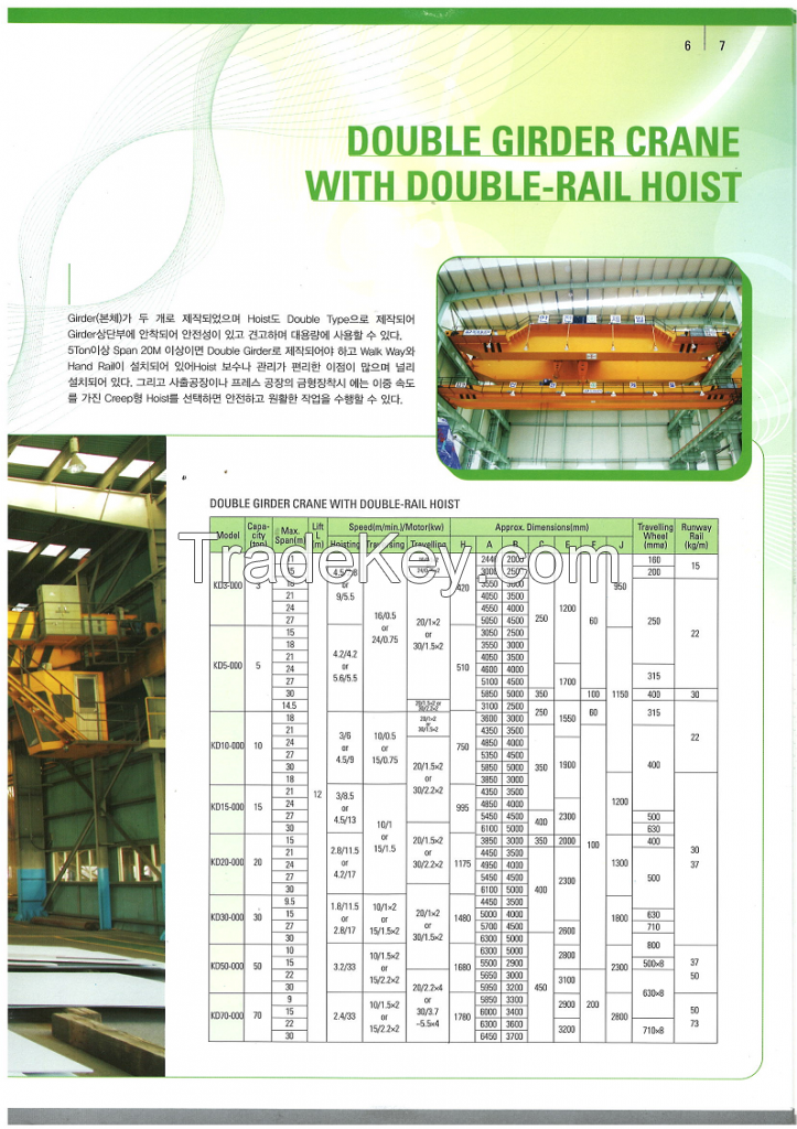 Double girder crane with double-rail hoist