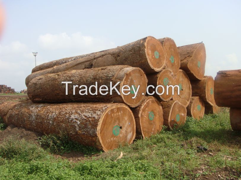 African Timber Logs By Omeng Trading (Pty) Ltd, South Africa