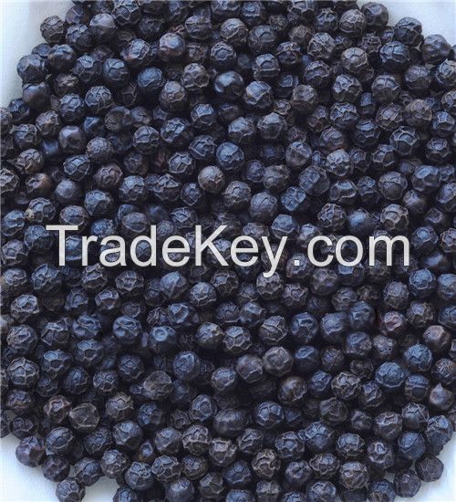 WHOLE BLACK AND WHITE PEPPER FROM VIETNAM FOR MIDDLE EAST