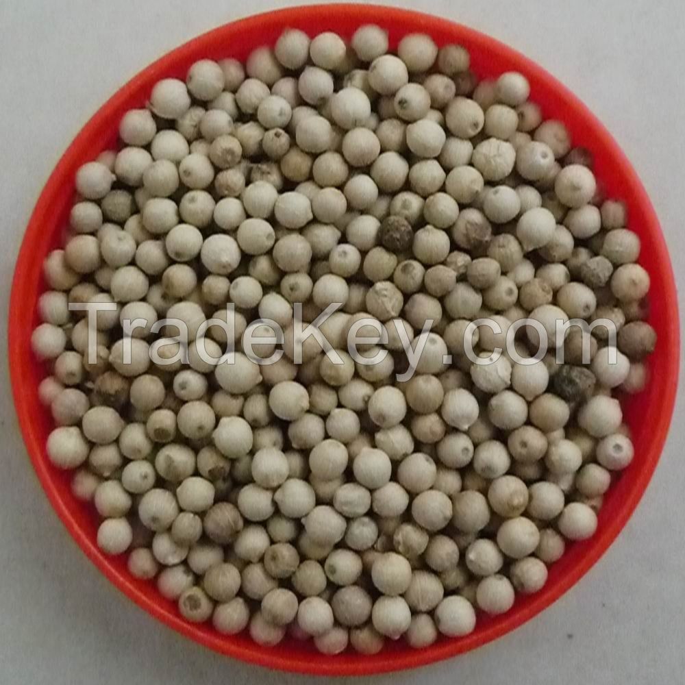 supplier of black and white pepper